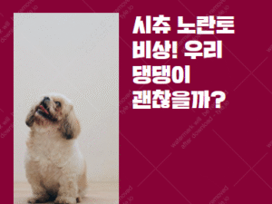 강아지 노란토