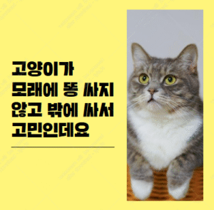 고양이 설사
