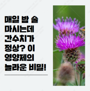 밀크씨슬 복용법