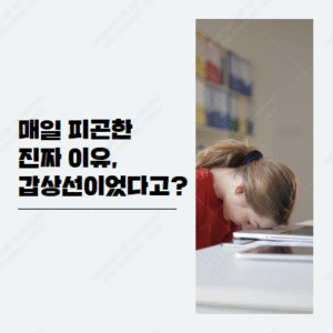 갑상선 기능 저하증